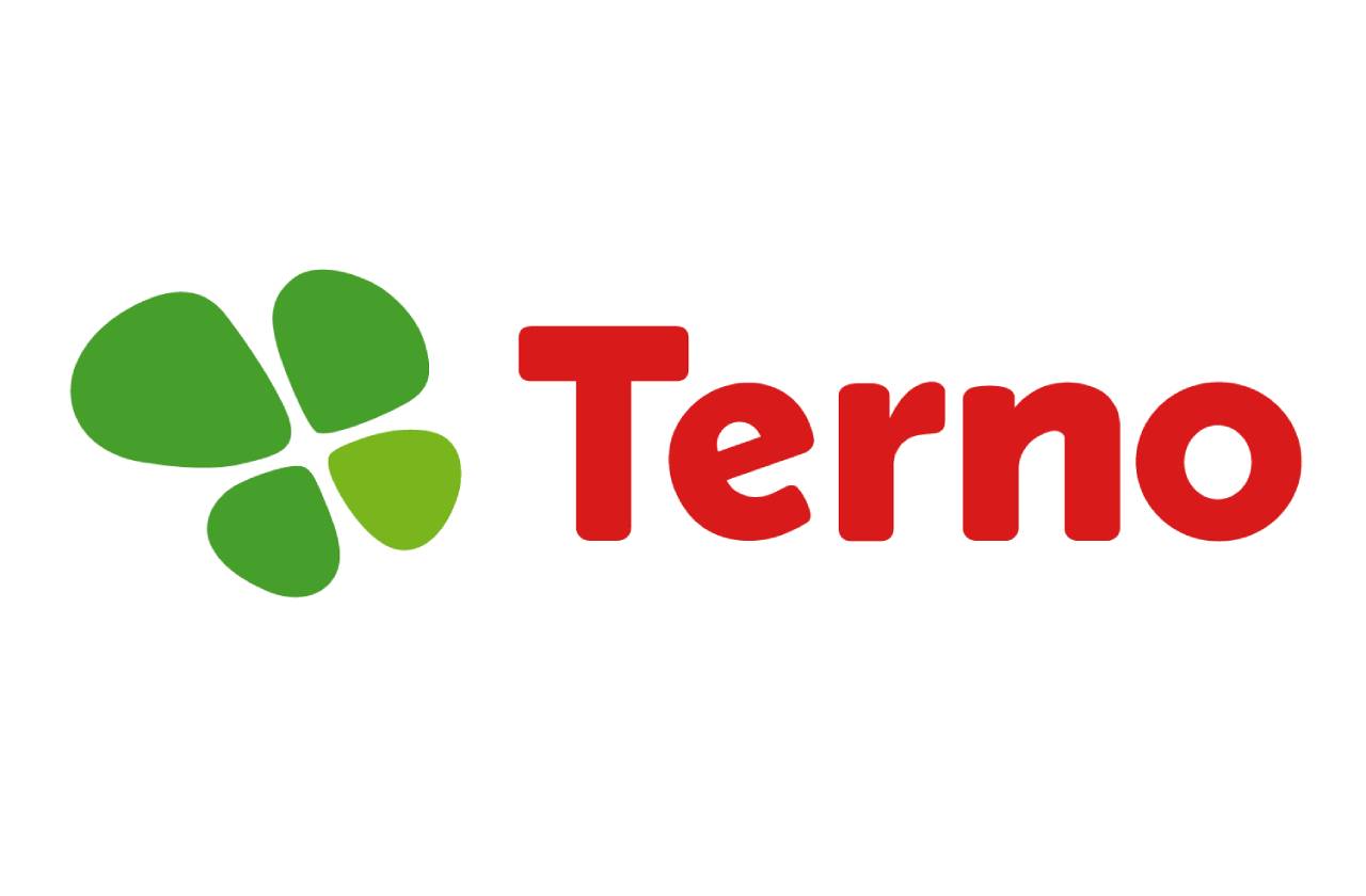 Terno logo